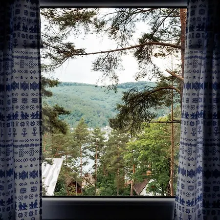 Borovica - Domasa Dom wakacyjny *